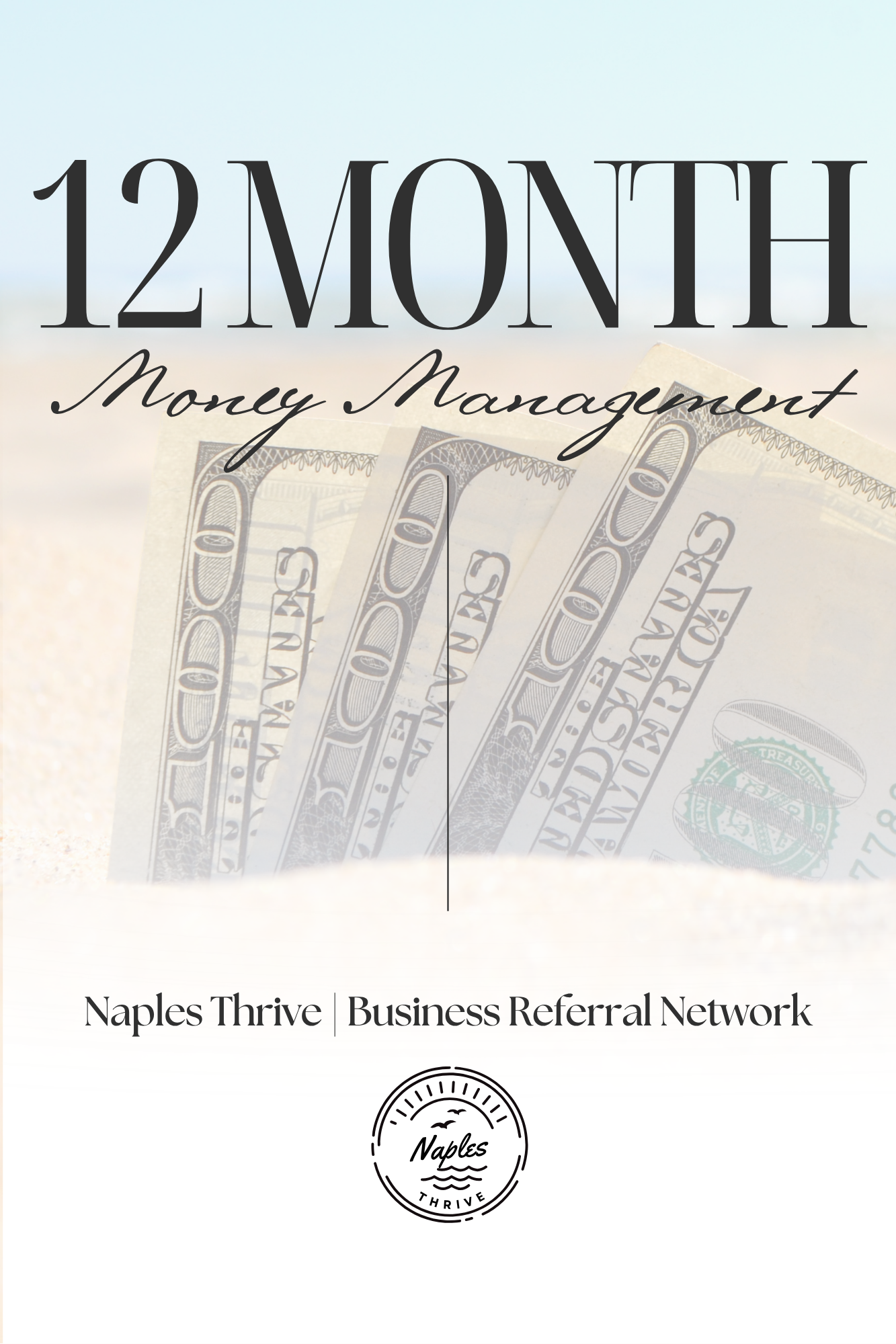 📊 12 Month Simple Money Management preview