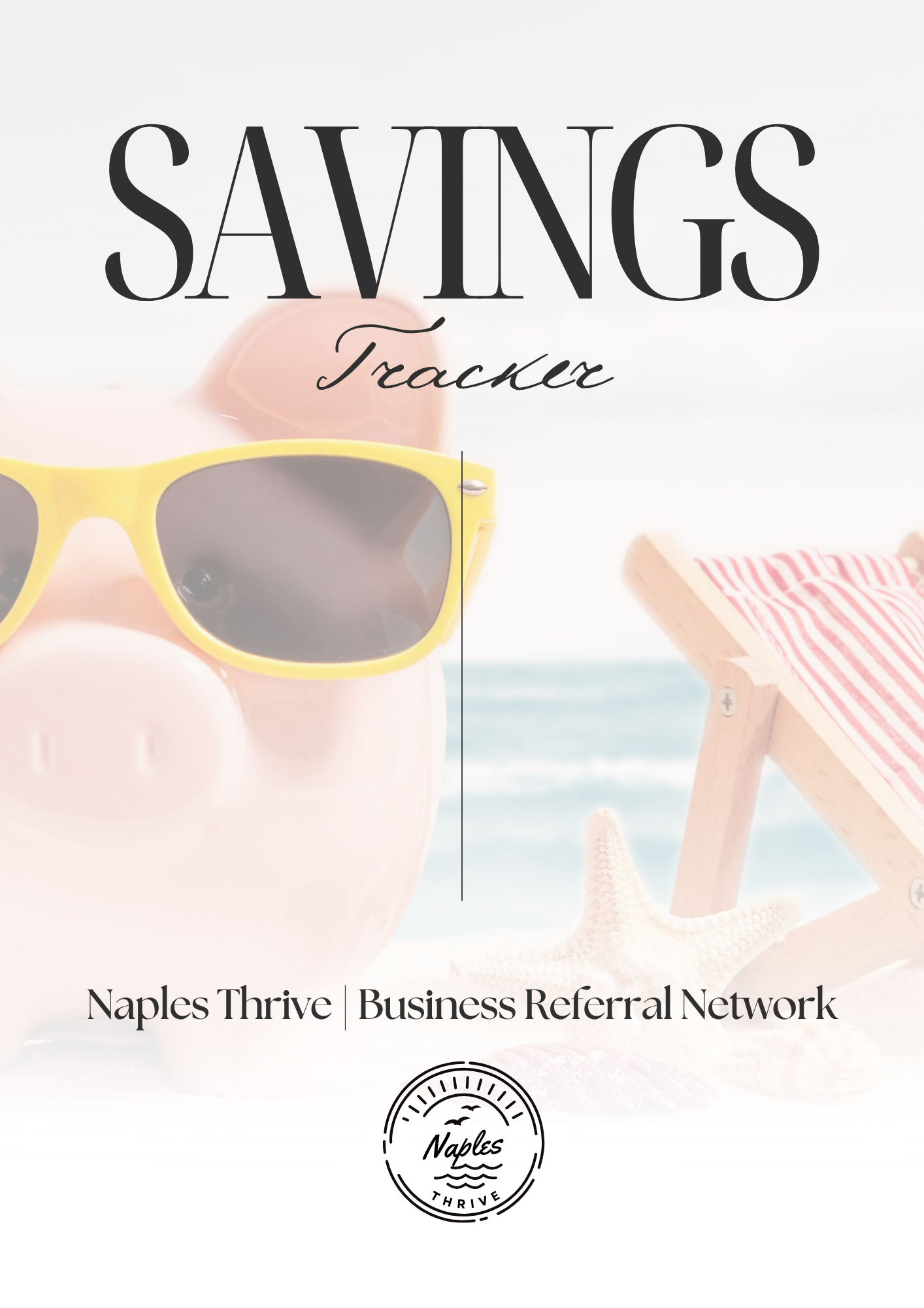💵 33 Pages Savings, Credit, & Debt Trackers preview