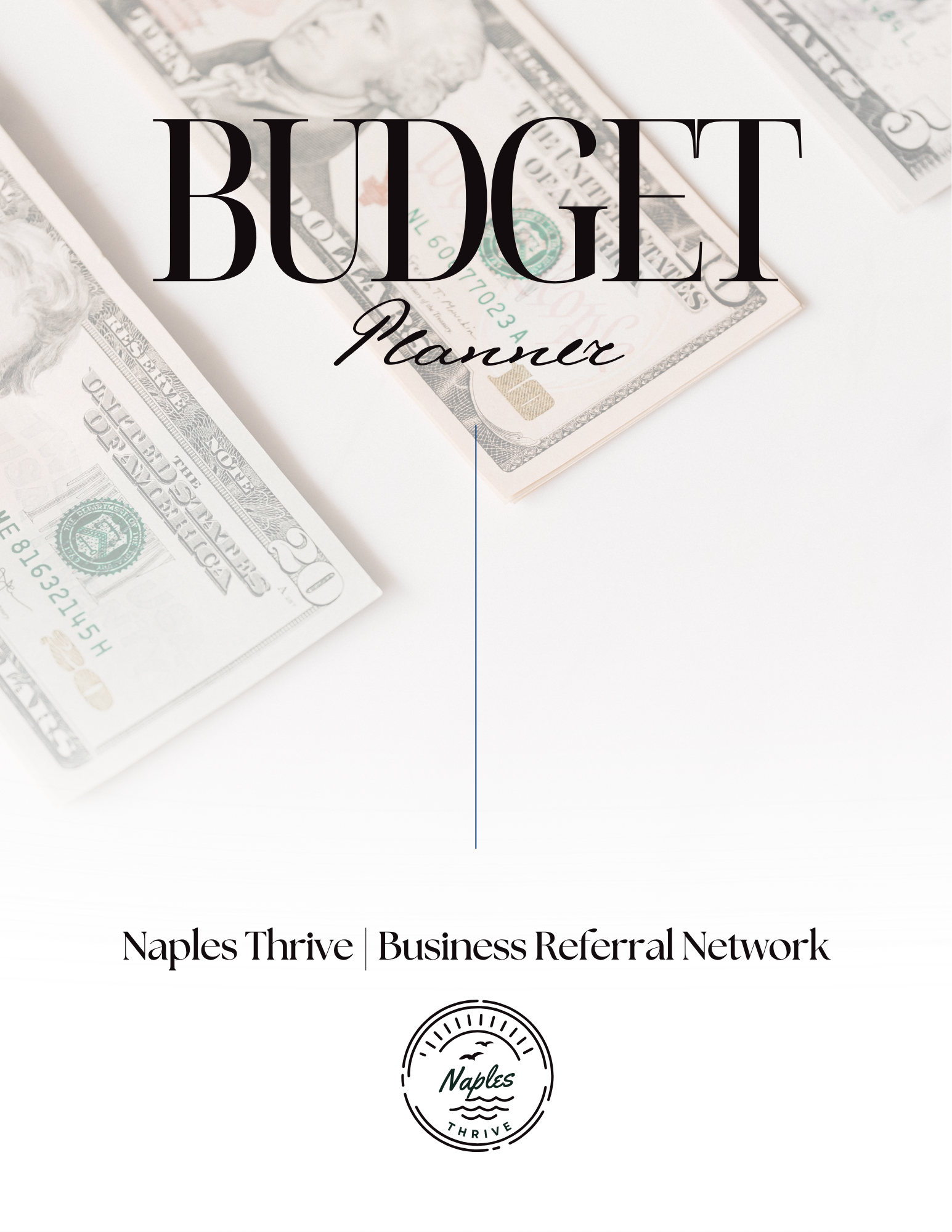 💰 46 Page Budget Planner For Life preview